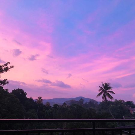 Chathu Holiday Home Kandy Eksteriør billede